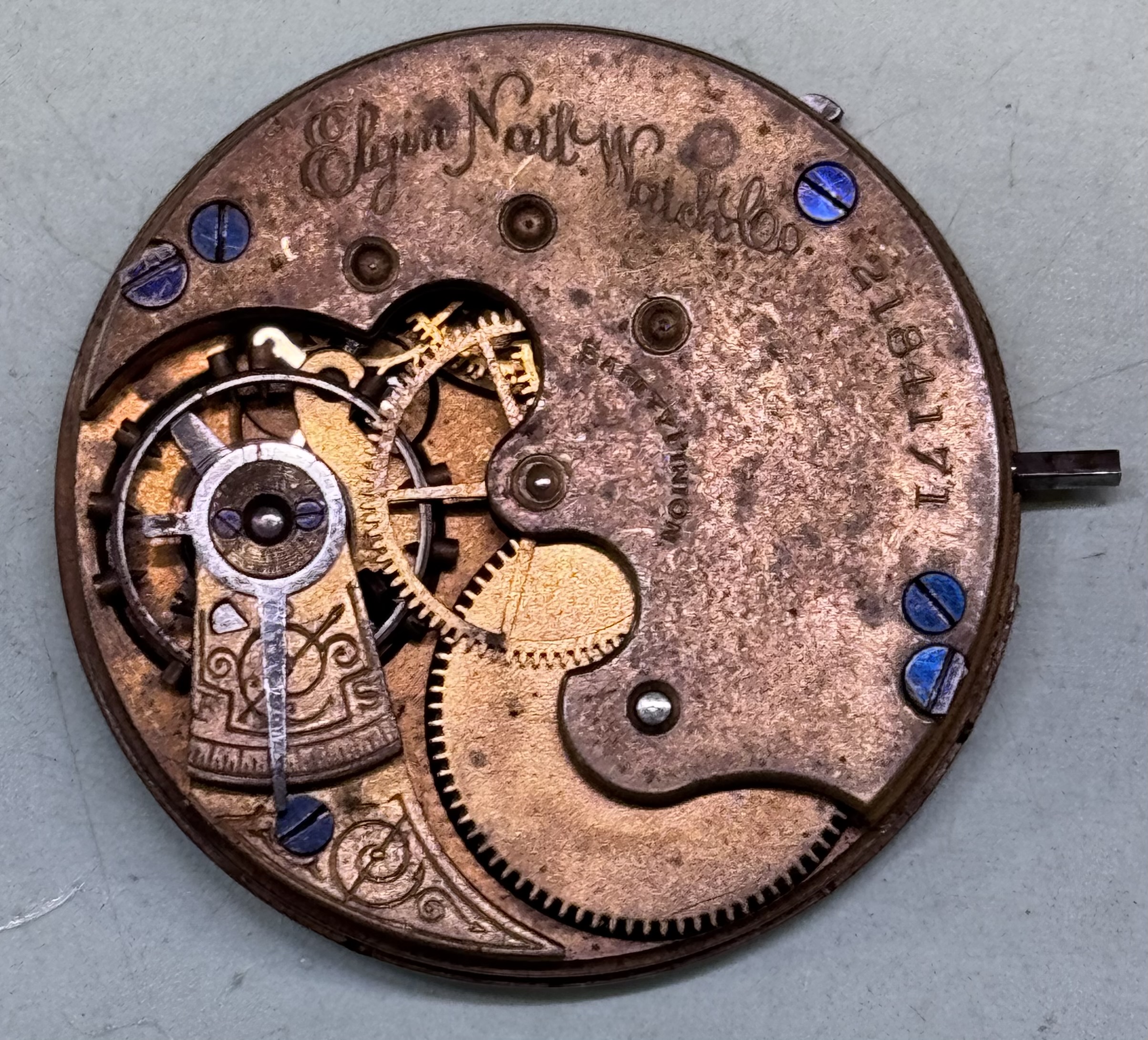 Elgin Grade 95 Watch #2184171 - 6s, 7j - Uploaded by juddger